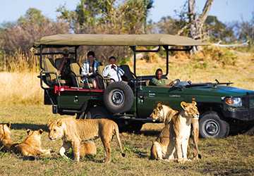 How to Plan an Unforgettable Safari Experience